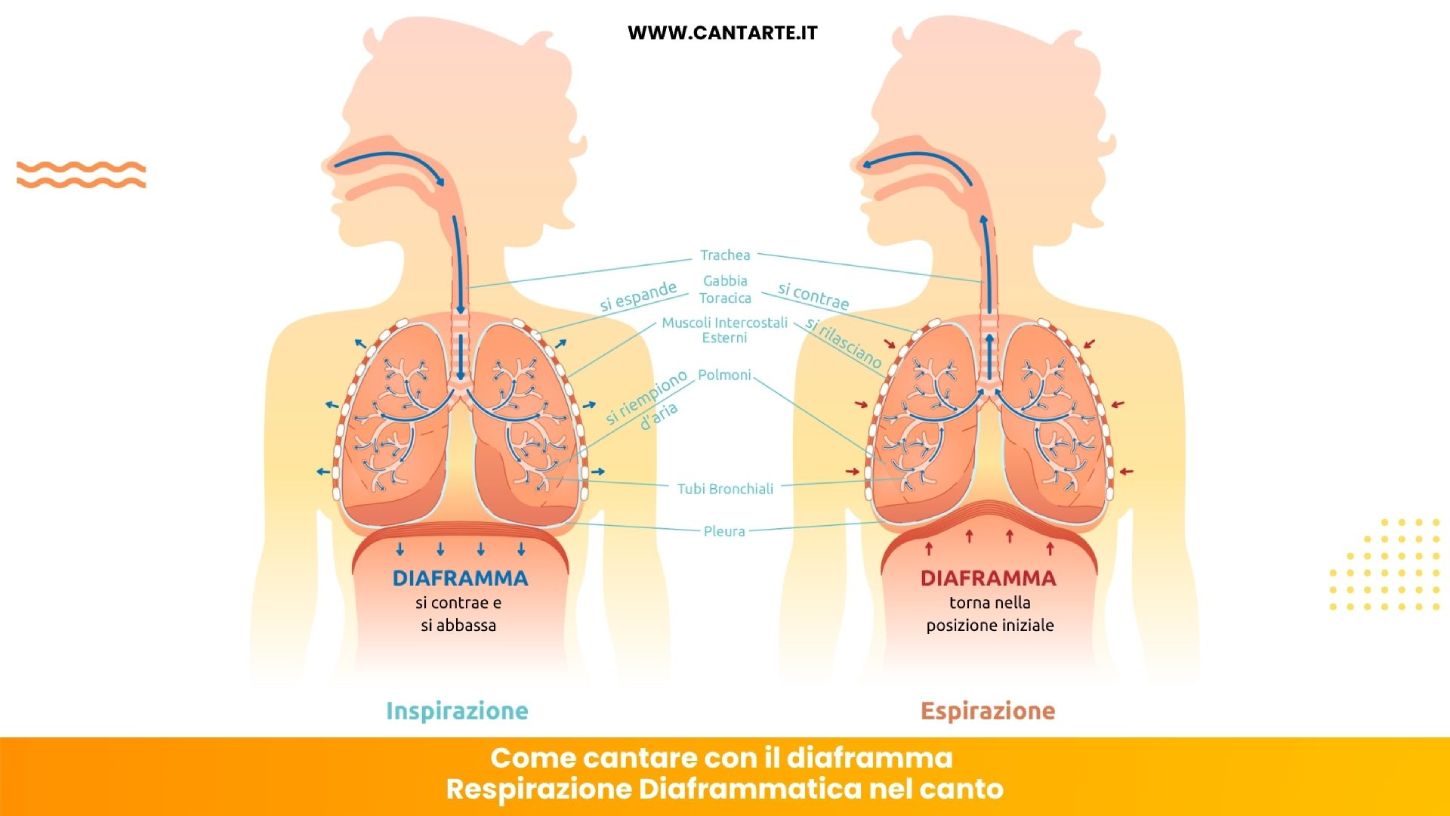 cantare con diaframma