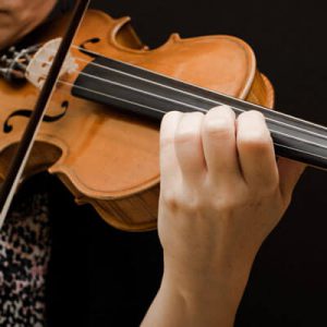 Lezione di violino e viola